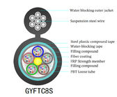 GYFTC8S Self Supporting Fiber Optic Cable , 48 Core Kevlar Fiber Cable